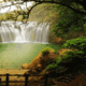 Chachai Waterfall
