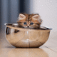 Cute Cat In Bowl