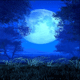 Dark Night Blue Moon