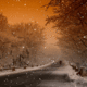 Lonely Road In Winter