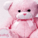 Pink Teddy Baby