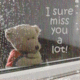 Teddy Miss You