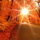 Autumn Sunshine Road
