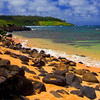 Rocky Sea Shore Beach Hawaii