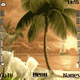 Nature Palm
